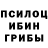 Псилоцибиновые грибы Psilocybe Sarat Karmakar