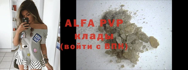 прущие крисы Бородино