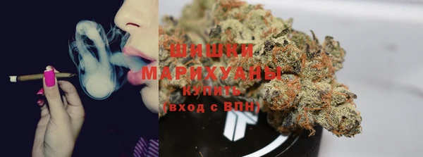 ГАЛЛЮЦИНОГЕННЫЕ ГРИБЫ Богородицк
