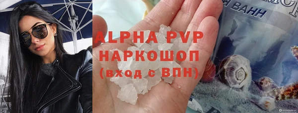 прущие крисы Бородино