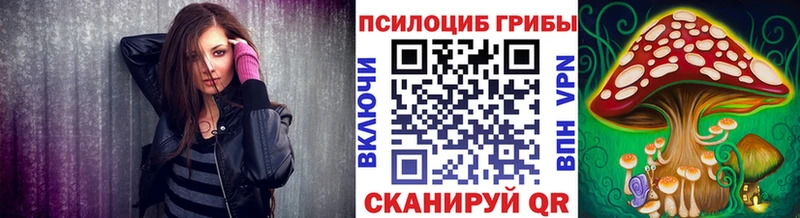 купить закладку  Киржач  Галлюциногенные грибы GOLDEN TEACHER 