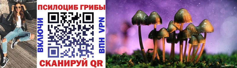 Псилоцибиновые грибы прущие грибы Киржач